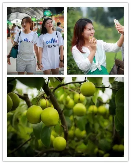 美女與香梨，你更愛哪一個(gè)？！