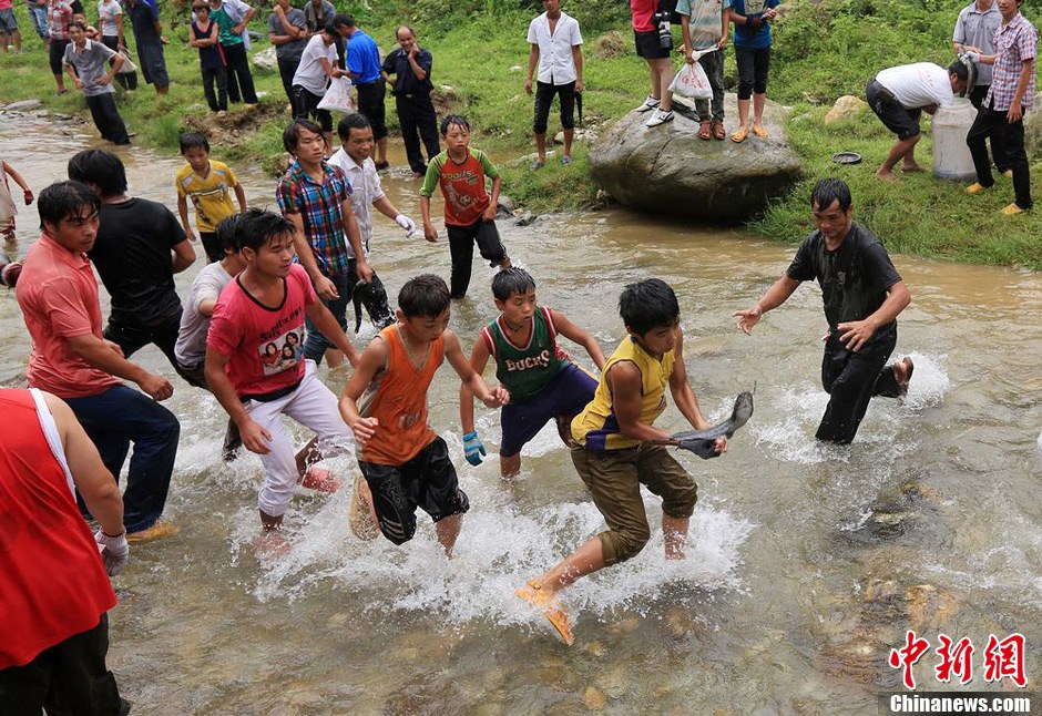7月9日，村民在小河里摸魚搶魚。譚凱興 攝