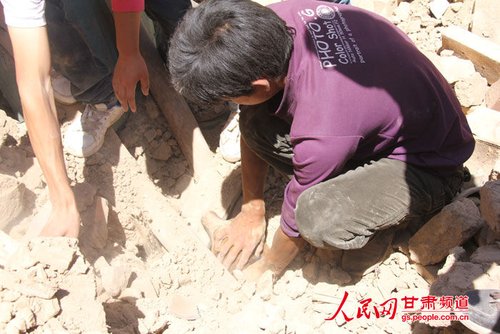 小黃狗露出了鼻子。王生元/攝