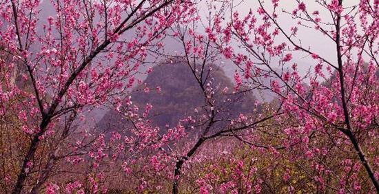 撿垃圾換玫瑰 女人節(jié) 愛在神農(nóng)山！