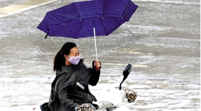 昨日下午，隴海路上，雨中風(fēng)大，一位女士的傘被吹翻了。