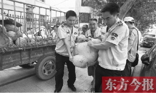 昨日，鄭州金水區(qū)執(zhí)法局的執(zhí)法隊(duì)員捐錢買瓜，替瓜農(nóng)解憂