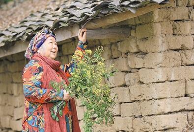 公式“時尚奶奶”的賞花照，收獲了好多人的點贊。 受訪者供圖