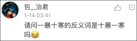 鶴立雞群？雞立鶴群！