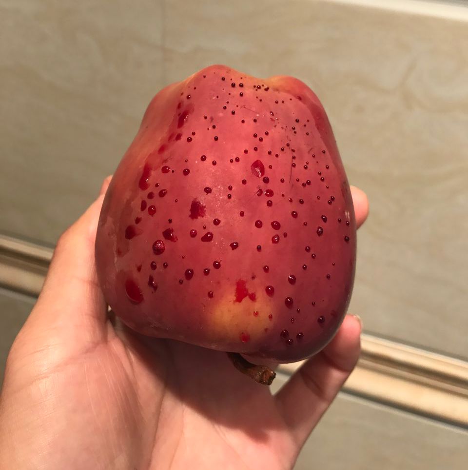 嚇懵！女子用熱水泡蘋果結(jié)果冒出血珠 咋回事？