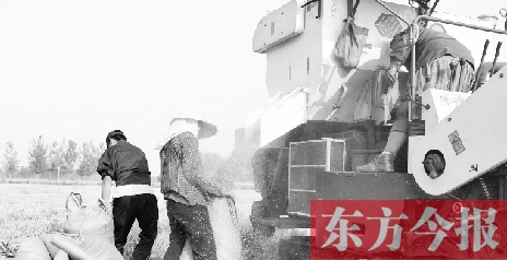 李正厚的妻子鮑本華（右）和一位村民拎著麻袋來到收割機前，接住傾倒出來的麥粒