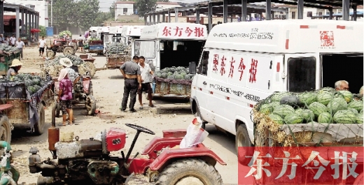 昨日，東方今報(bào)與河南福壽園聯(lián)合購(gòu)瓜，只有更多的市民和企業(yè)加入購(gòu)瓜行動(dòng)，瓜農(nóng)們才能早日回家