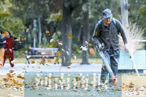 秋風吹過，落葉滿地