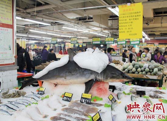 鄭州市一家超市海鮮區(qū)的冰架上赫然擺著一整條鯊魚在出售，鯊魚肉價(jià)格為23.80元每斤，遠(yuǎn)低于牛羊肉的價(jià)