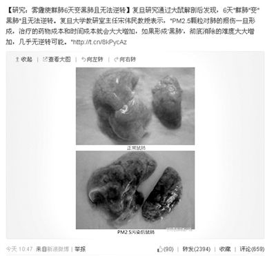 昨天，一則“霧霾使鮮肺6天變黑肺”的新聞在網(wǎng)上引發(fā)熱議。網(wǎng)絡(luò)截圖
