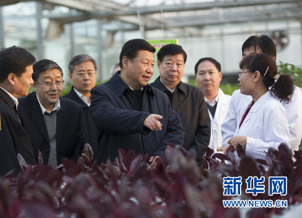  27日下午，習(xí)近平在山東省農(nóng)業(yè)科學(xué)院智能化溫室了解農(nóng)業(yè)科技創(chuàng)新情況。