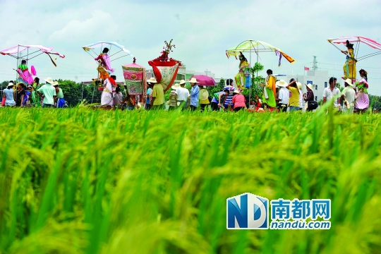 崖口村每年都在村里舉行飄色巡游活動。