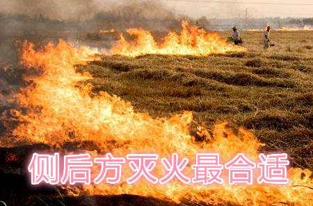 不要在風(fēng)頭上打火：風(fēng)正大，火正旺，最容易傷人；