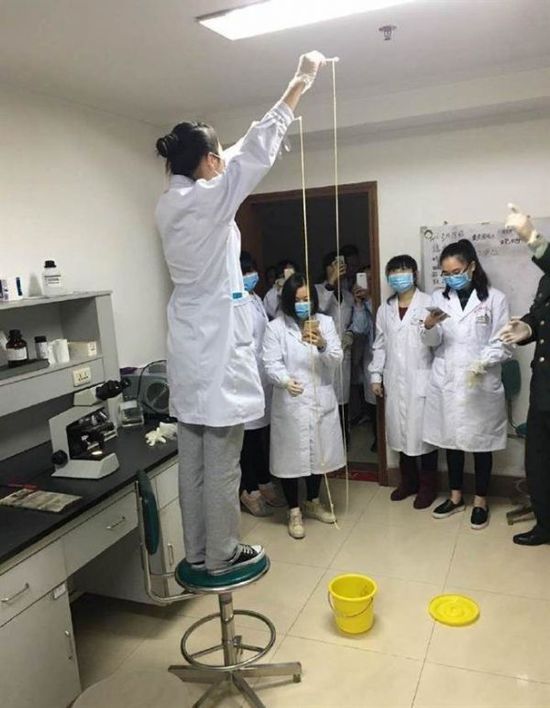 愛(ài)吃生肉惹的禍！男子體內(nèi)取出5米長(zhǎng)寄生蟲(chóng)(圖)