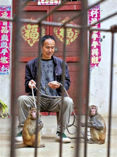 10月13日，耍猴人鮑慶山牽著從牡丹江帶回的兩只小猴在家門口玩耍。