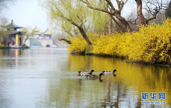 青奧會(huì)指定接待景區(qū) 五大特色景區(qū)開(kāi)啟青奧之旅