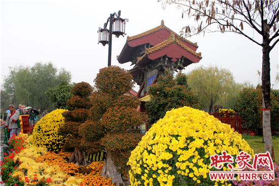 天好、花美 中國(guó)開封第32屆菊花文化節(jié)延長(zhǎng)一周