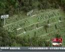 “垃圾場(chǎng)”拍婚紗：玩噱頭還是做環(huán)保？
