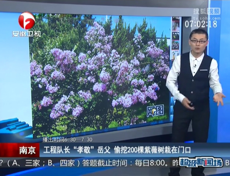 南京：工程隊(duì)長“孝敬”岳父 偷挖200棵紫薇樹栽在門口