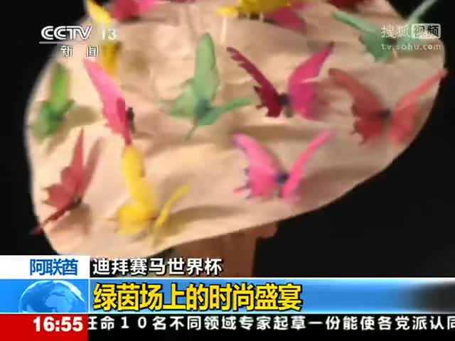 央視女記者著嫵媚帽裝采訪(fǎng)迪拜賽馬世界杯